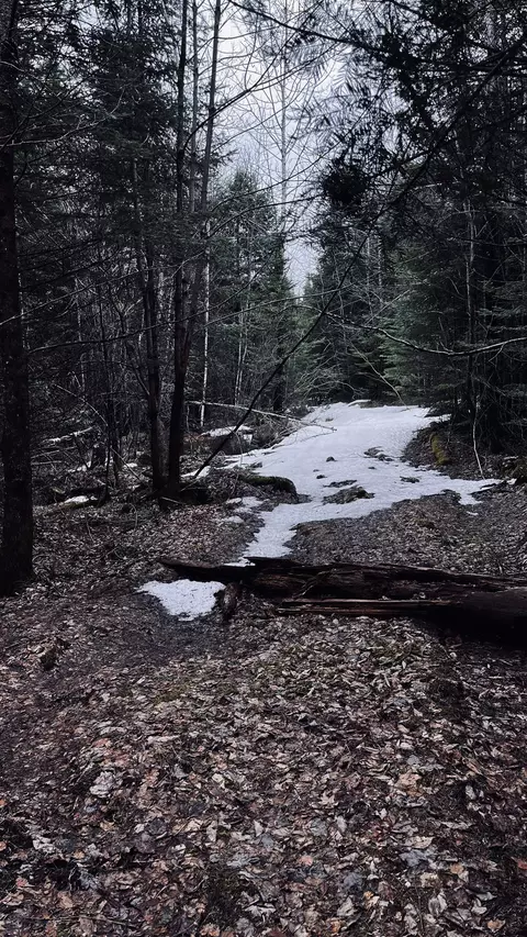 0 Shadow Lake Rd, Glover, VT 05839 photo 33