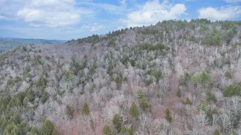 00 Route 100, Jamaica, VT 05343