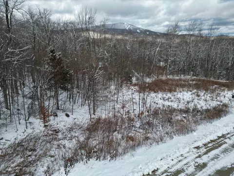 41 Moose Hollow Rd, Winhall, VT 05340