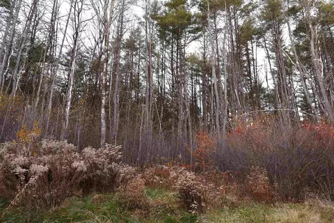 0 Us Route 5 S, Norwich, VT 05055