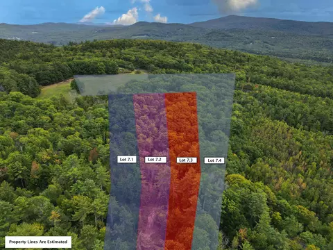 00 Peaked Hill Rd #7.1, 7.2, 7.3, 7.4, Bristol, NH 03222