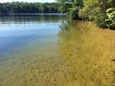 115 Chandler Ln, Wakefield, NH 03830