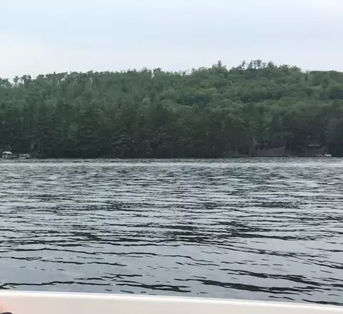 115 Chandler Ln, Wakefield, NH 03830