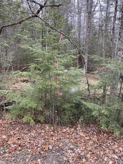 84 Vernon Ave Apt Also Lots Apt 103 And 104 On Oak Cir #ALSO S  103 AND 104 ON OAK C, Haverhill, NH 03765