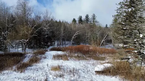 142 Brooks Rd, Ludlow, VT 05149