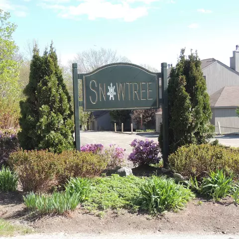 13 Snowtree Ln #WILLOWS K, Dover, VT 05356