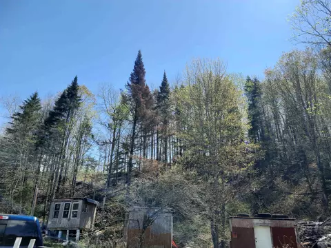 24 Marsh Rd, Columbia, NH 03576