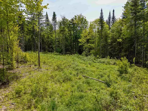 40 Bear Paw Trl, Littleton, NH 03561