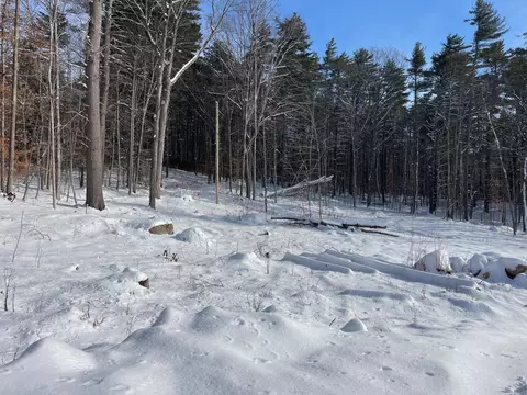 Exterior - 16 Burdett Rd, Bartlett, NH 03847 photo 10 of 13