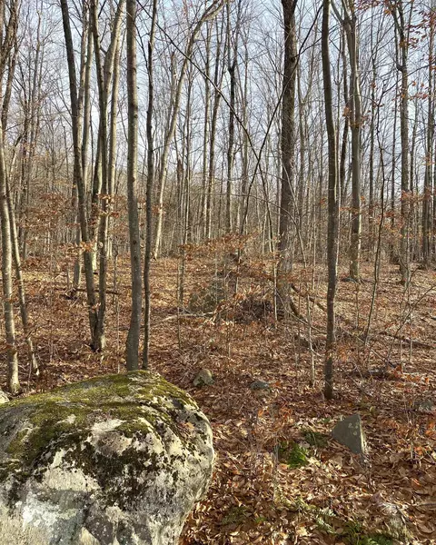 20 Forest Ridge Dr #14, Middlebury, VT 05753