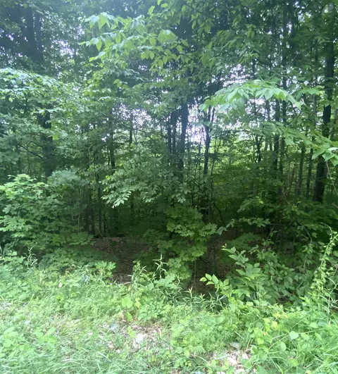 6 Fred Johnson Cir #17, Middlebury, VT 05753