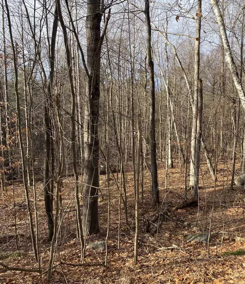 8 Fred Johnson Cir #16, Middlebury, VT 05753