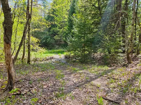 lot4 Berry Rd, Berkshire, VT 05450