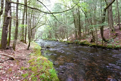525 Richmond Rd, Winchester, NH 03470