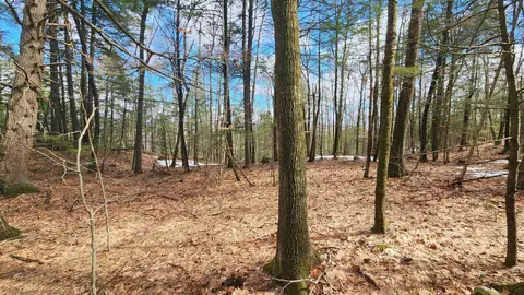 231 Valley Rd, New Durham, NH 03855