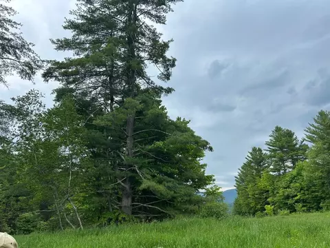 00 Rocky Rd, Johnson, VT 05656 photo 10