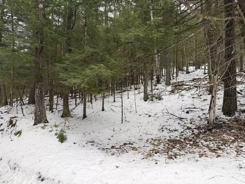 00 Wetherbee Rd #19, Lyman, NH 03585