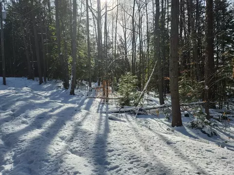 11 Cedar Dr #130  11, Gilmanton, NH 03237
