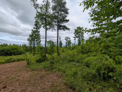58 2 Duggin Rd # -6, Wilton, NH 03086