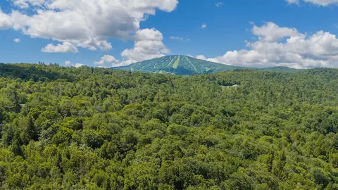 56 Lower Taylor Hill Rd, Winhall, VT 05340