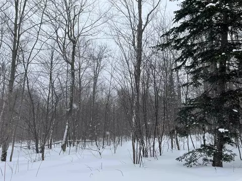 2924 New Duck Pond Rd, Sheffield, VT 05866