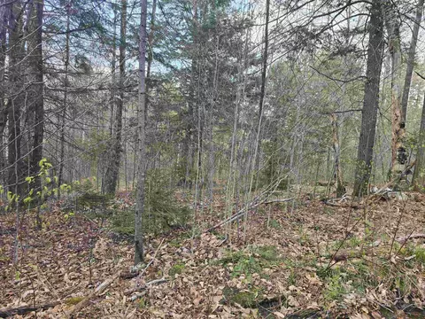 tbd Farrar Rd, Chester, VT 05143