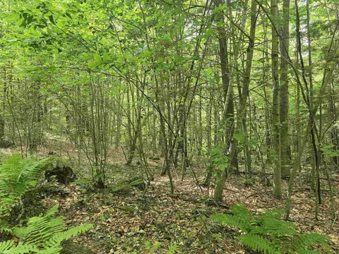 tbd Farrar Rd, Chester, VT 05143