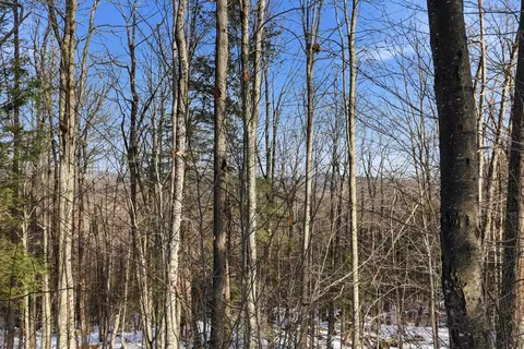 Tax Map5B Lot97 Nh Route 114 #97, Henniker, NH 03242