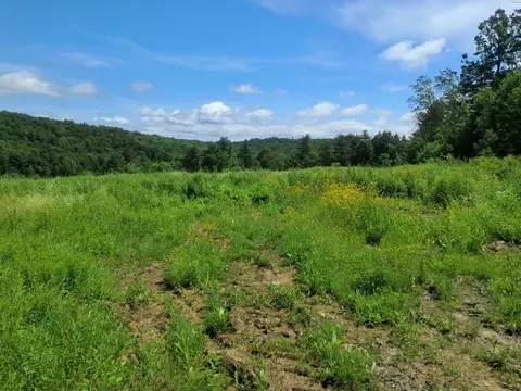 1567 Hollow Rd, Monkton, VT 05469