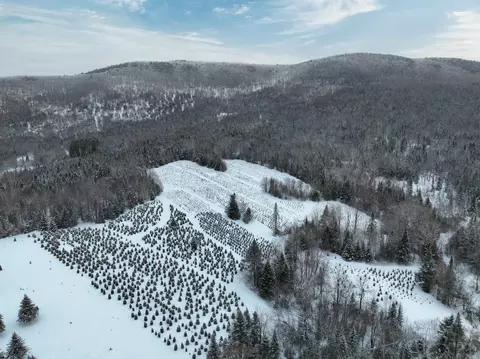 00 Jordan Hill Rd, Columbia, NH 03590