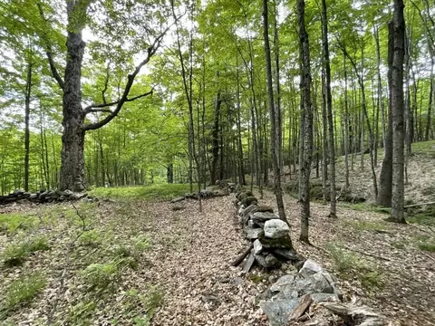 90 Reading Farms Rd, Reading, VT 05062 photo 4