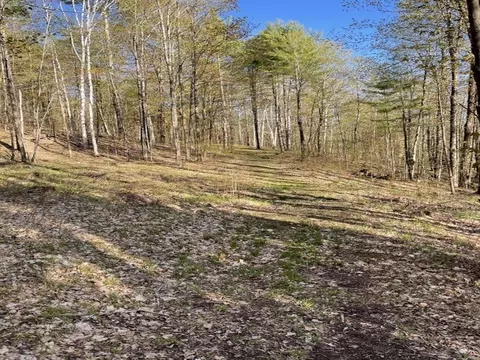 90 Reading Farms Rd, Reading, VT 05062 photo 6