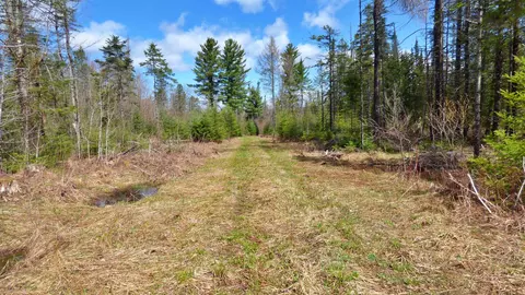 Spar Hawk Road, Wheelock, VT 05851