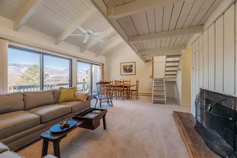 14 Vaughn Farm Rd #1, Manchester, VT 05255