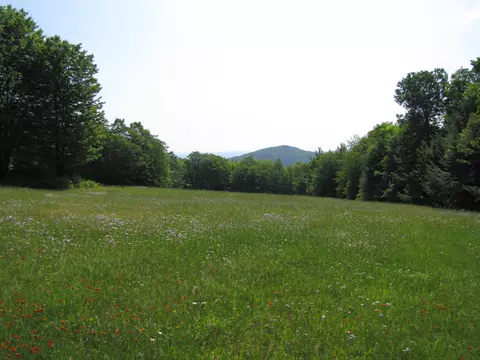 Exterior - 1607 Massey Rd, Springfield, VT 05156 photo 6 of 13
