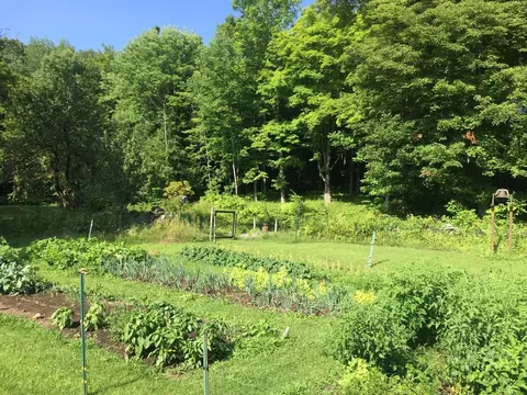 Exterior - 1607 Massey Rd, Springfield, VT 05156 photo 10 of 13