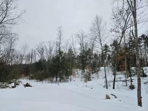 1 Whitetail Way #4-145-3, Amherst, NH 03031