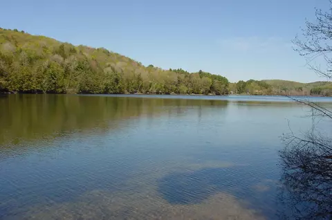 380 Columbia Dr, Hubbardton, VT 05732