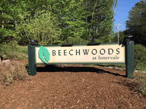 3 Beechwoods Dr #3, Bartlett, NH 03845
