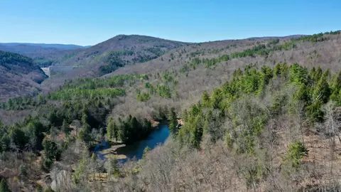 00 Turkey Mountain Rd, Jamaica, VT 05343