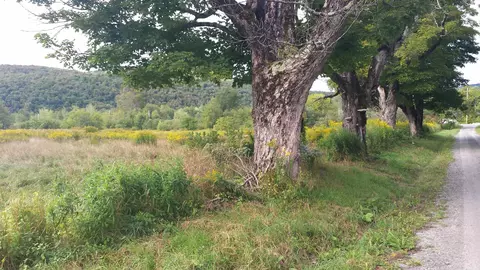 0 Old County Ln, Readsboro, VT 05350