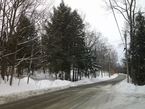 0 Plot Rd #2, Johnson, VT 05656 photo 8