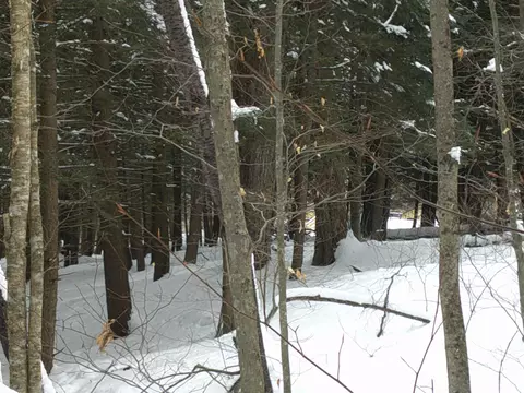 0 Plot Rd #2, Johnson, VT 05656 photo 20
