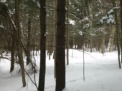 0 Plot Rd #2, Johnson, VT 05656 photo 11