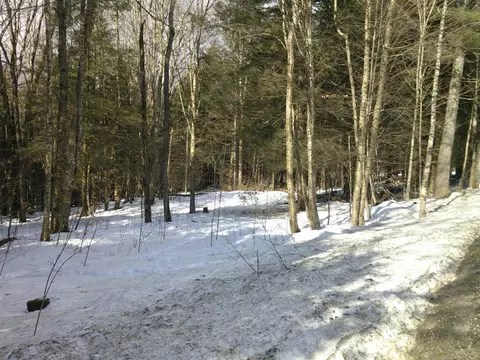 0 Plot Rd #2, Johnson, VT 05656 photo 27