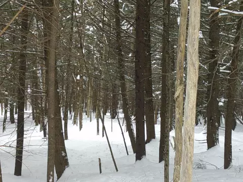0 Plot Rd #2, Johnson, VT 05656 photo 21