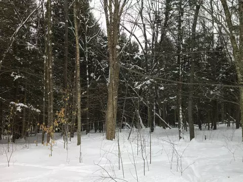 0 Plot Rd #2, Johnson, VT 05656 photo 6