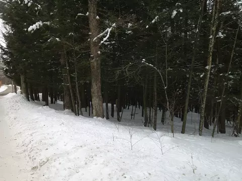 0 Plot Rd #2, Johnson, VT 05656 photo 5