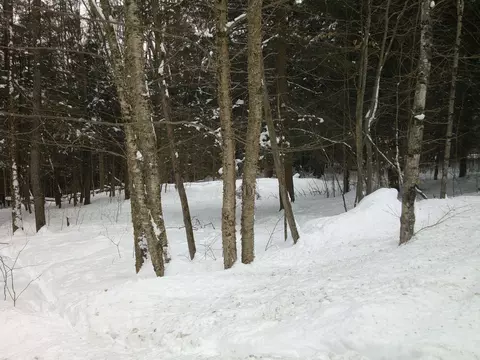 0 Plot Rd #2, Johnson, VT 05656 photo 4