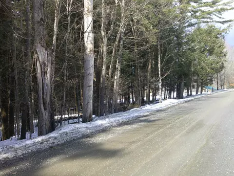 0 Plot Rd #2, Johnson, VT 05656 photo 3